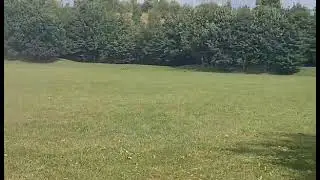 taylor rc 71cc supreme ripping