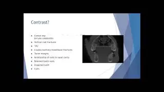 Is CBCT for Veterinarians? 3D Imaging in Everyday Practice