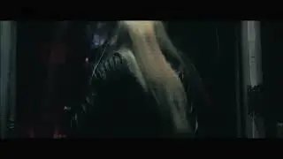 wait4u.web - Dead End (Official Music Video)