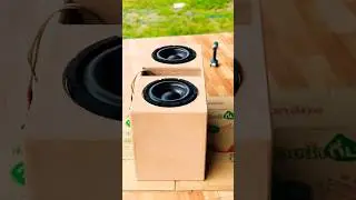 #diybox  10 inch  platinum x subwoofer #subwoofer #automobile #basscheck #bass