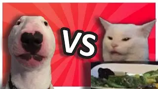 Ultimate Animal Beauty Contest (Community Pet Contest)