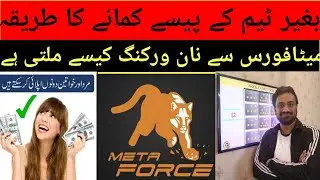 How to earn online without working I Metaforce full plan Presentation I Non working income I Qam tv