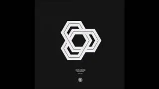 Ron Impro - Sickness (Shadym Remix)