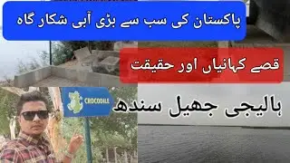 Haleji Lake #viralvideo #youtuber #lake #sindh #vlog #pakjourney #travel #everyone #uae