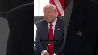 Trump on Epstein Island: Truth or Denial? #lorefuse
