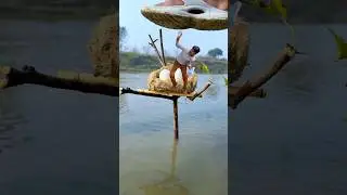 Crazy 🤪eggs with tree 🌴 amazing jumpi videography #creative #funny #amazing #shorts