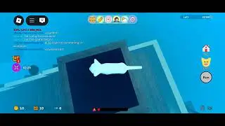 Kitten game glitch // Live