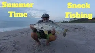IT'S TIME!!!!!!!! Summer Beach Snook Fishing