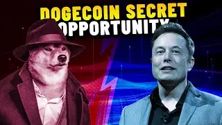 THE BIGGEST SHOCKING SECRET OPPORTUNITY ABOUT DOGECOIN | DOGECOIN TRUE POTENTIAL AND HIDDEN SECRETS