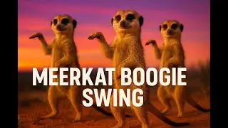 《Meerkat Boogie Swing》｜Retro Electro-Swing Dance Hit 💃✨🎵