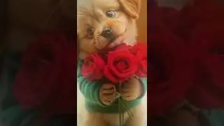 #aww #pets #dog #trafficrushanime