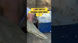 😳Fishing Gone Wrong🦈 #fishing #fish #ocean #bassfishing #trending
