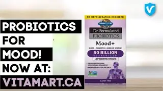 Garden of Life Dr. Formulated Probiotics Mood | Vitamart.ca