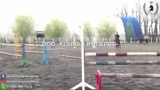 0564 1