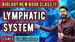 Lymphatic System class 11 | Lymphatic vessels, Lymph, Nodes & Lymphoid Masses | Biology New Book