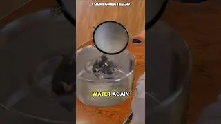 От 15 минут до 60 часов 🐭😳