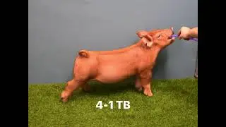 4-1 TB (2-4-26 Online Sale)