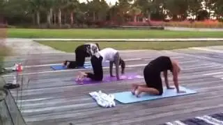 PRIVATE YOGA SESSION WWW.MEXICOBEACHFLYOGA.COM