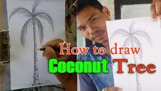 How to draw Betel nut tree | Penchil Sheding