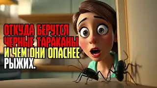 ОТКУДА БЕРУТСЯ ЧЕРНЫЕ ТАРАКАНЫ И ЧЕМ ОНИ ОПАСНЕЕ РЫЖИХ