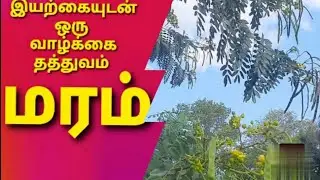 motivational quotes in tamil / save tree and nature @ MQ with nature
