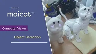 The Cutest Robot Kitten You Can Find!