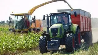 Sierpniowa kukurydza na kiszonkę 2018 – New Holland FR9050, 3x Claas, Zetor