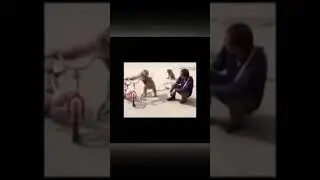 MONKEY TALKING BAD VOICE IN TAMIL 😂 #shorts #funnyvideos #monkeybadvoice