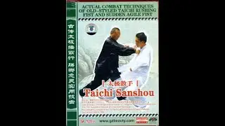 TaiChi Sanshou