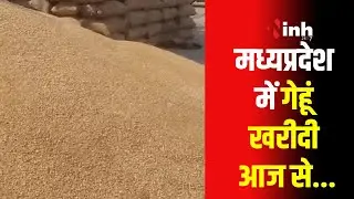 MP Farmers | एमपी में किसानों के लिए खुशखबरी, इस बार इतने हजार रुपये क्विंटल होगी गेहूं की खरीदी