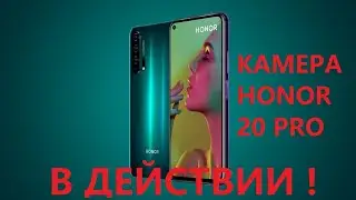 Камеры HONOR 20 PRO в действии!