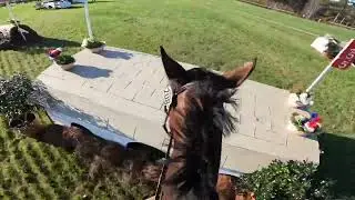 GoPro: Renkum Corsair (Intermediate | 2022 Carolina Int'l CCI & Horse Trials)