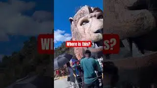 Lion #lionshead #lion