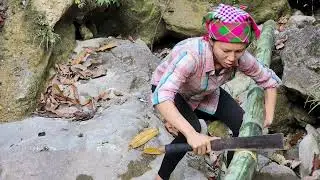What This Single Mom and Monk Did to Make an Abandoned House Livable