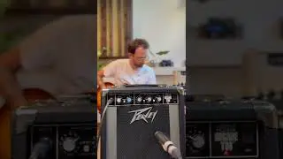 Peavey Joshua Homme Decade Too