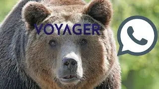 voyager digital 2022 First Quarter conference call!