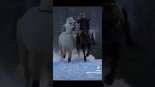 ١٤ آب ٢٠٢٤