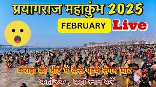 Mahakumbh Naag Vasuki Mandir Darshan | नाग वासुकी | Sector - 6 | Prayagraj | Latest Updates