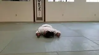Mae Ukemi -- Basic Forward Fall