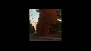 snflwr - q u i e t_c o n t e m p l a t i o n