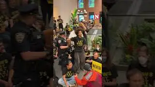 Pro-Palestine Protesters Arrested At NYC Senators' Office