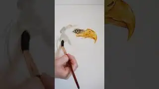 watercolor bald eagle. full tutorial coming soon