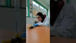00015 Video Liceo Pablo Neruda Temuco Cristalescolar 2024