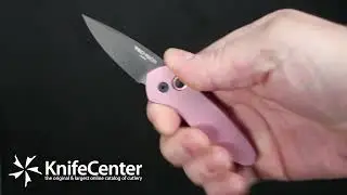 Pro-Tech 2907 Sprint AUTO Folding Knife