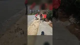 Tree Removal! #atlanta #augusta #georgia | Don's Tree Service