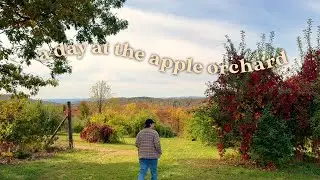 cozy fall vlog🍂 apple picking, wine tasting, & apple cider donuts
