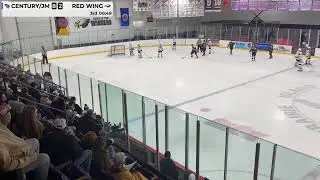 Century/John Marshall Girls Hockey @ Red Wing 1/13/26