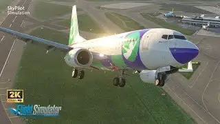 B737 Full Flight