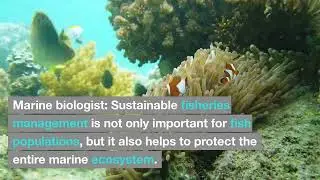important of fish management