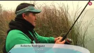 Copa Sensas invierno Arrocampo mp4